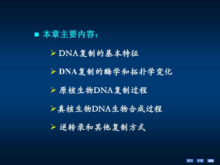【醫學PPT課件】第十四章 DNA的生物合成 生物化學與分子生物學第4頁