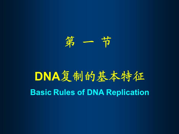 【醫學PPT課件】第十四章 DNA的生物合成 生物化學與分子生物學第5頁