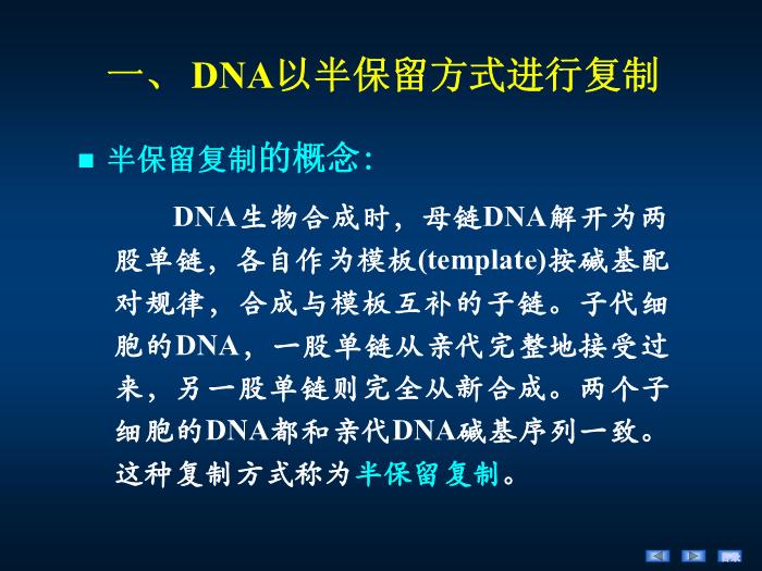 【醫學PPT課件】第十四章 DNA的生物合成 生物化學與分子生物學第7頁