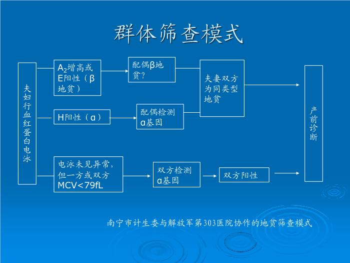 【醫學PPT課件】地中海貧血產前診斷意義與技術 解放軍303醫院血液科 尹曉林第14頁
