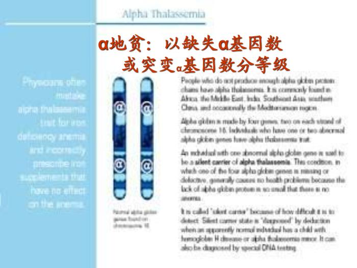 【醫學PPT課件】地中海貧血產前診斷意義與技術 解放軍303醫院血液科 尹曉林第3頁