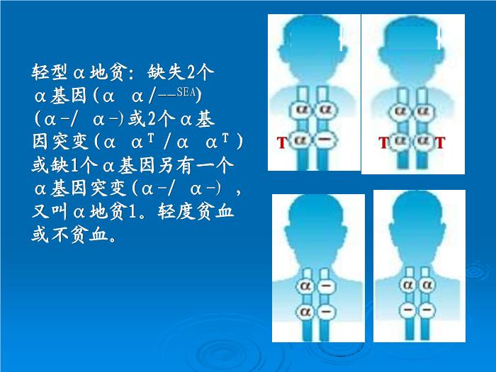 【醫學PPT課件】地中海貧血產前診斷意義與技術 解放軍303醫院血液科 尹曉林第6頁