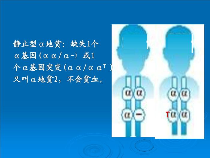 【醫學PPT課件】地中海貧血產前診斷意義與技術 解放軍303醫院血液科 尹曉林第7頁