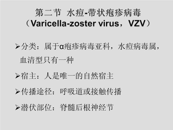 【醫學PPT課件】第27章 皰疹病毒 浙江大學附屬第一醫院陳瑜第11頁