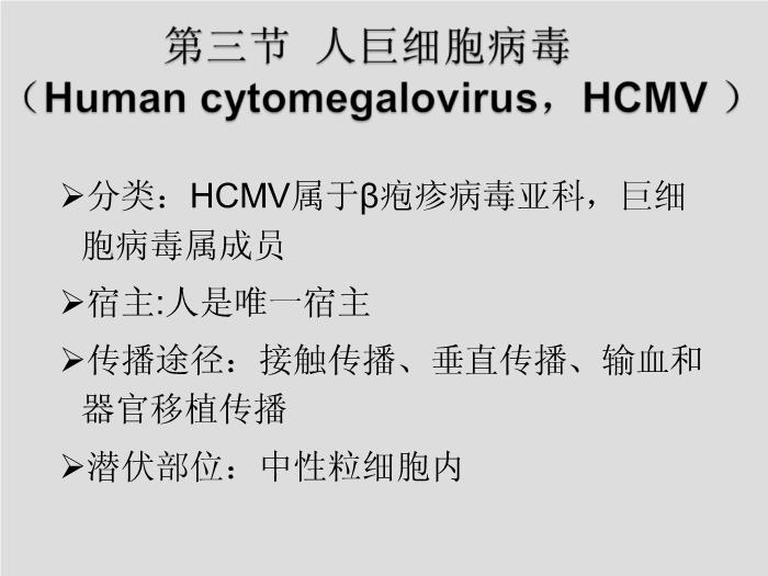 【醫學PPT課件】第27章 皰疹病毒 浙江大學附屬第一醫院陳瑜第15頁