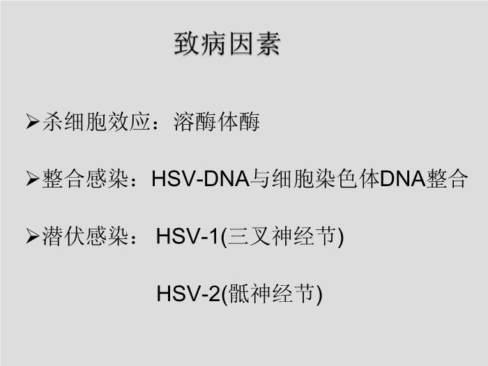 【醫學PPT課件】第27章 皰疹病毒 浙江大學附屬第一醫院陳瑜第5頁