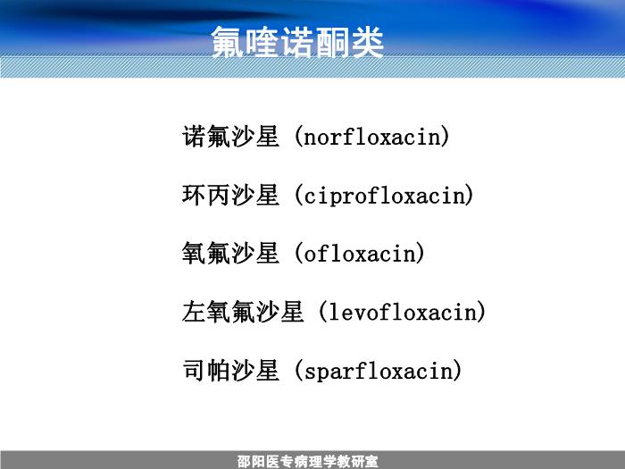 【醫學PPT課件】人工合成抗菌藥-邵陽醫專藥理學教研室 周效思-PPT課件第4頁
