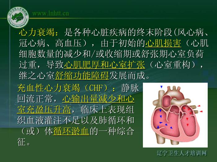 【醫學PPT課件】抗心力衰竭藥物 中國醫科大學藥學院第2頁