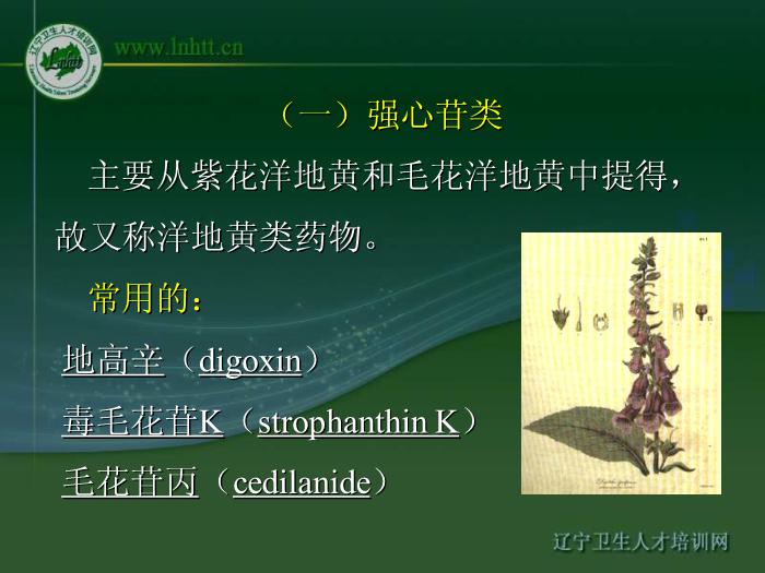 【醫學PPT課件】抗心力衰竭藥物 中國醫科大學藥學院第5頁