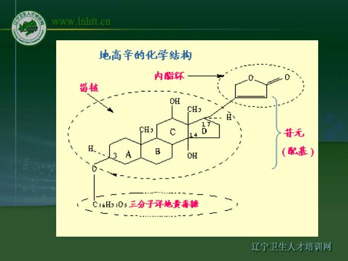 【醫學PPT課件】抗心力衰竭藥物 中國醫科大學藥學院第7頁