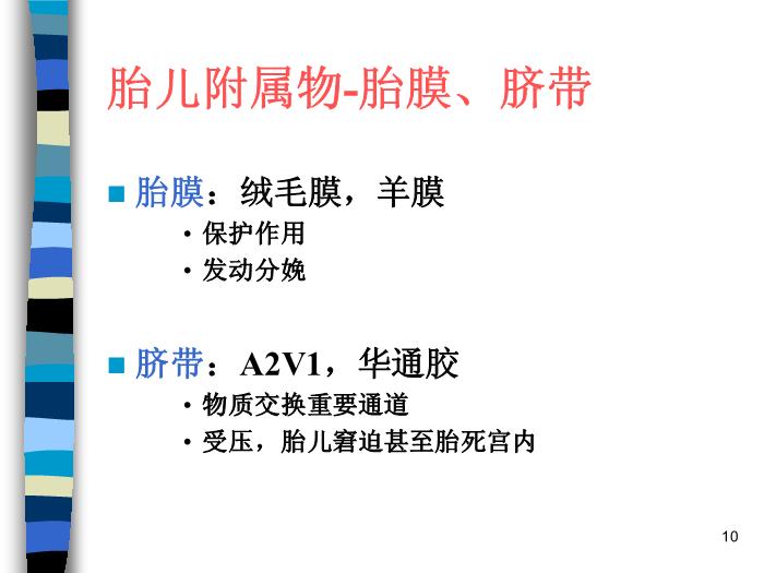 【醫學PPT課件】妊娠生理 北京協和醫院產科第10頁