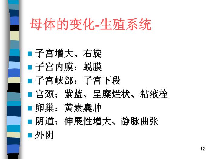 【醫學PPT課件】妊娠生理 北京協和醫院產科第12頁