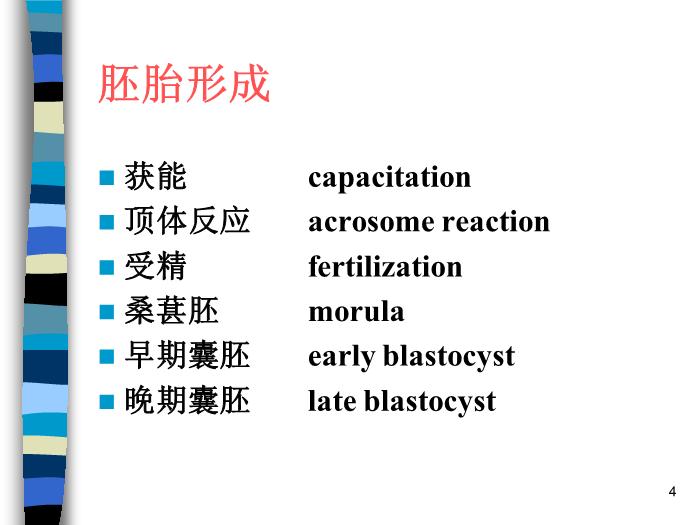 【醫學PPT課件】妊娠生理 北京協和醫院產科第4頁