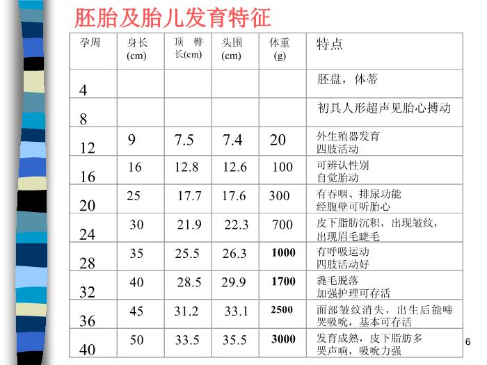 【醫學PPT課件】妊娠生理 北京協和醫院產科第6頁