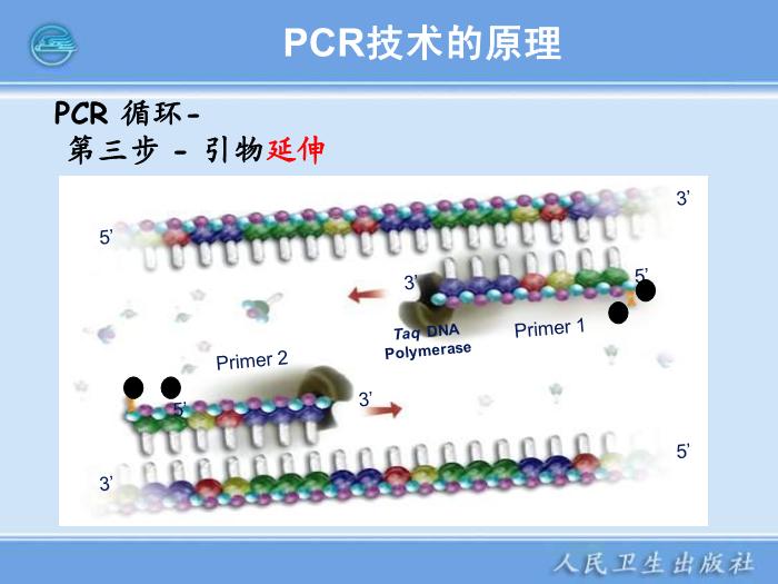 【醫學PPT課件】核酸擴增儀  臨床檢驗儀器學第10頁