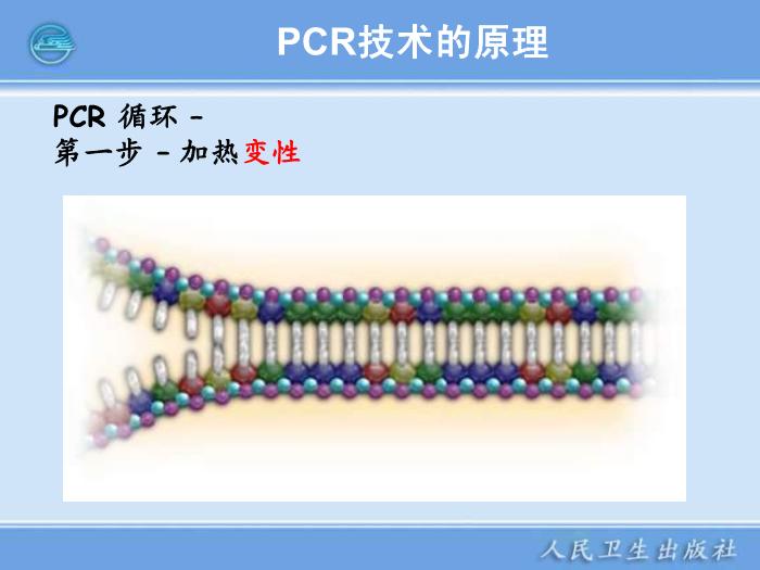 【醫學PPT課件】核酸擴增儀  臨床檢驗儀器學第8頁