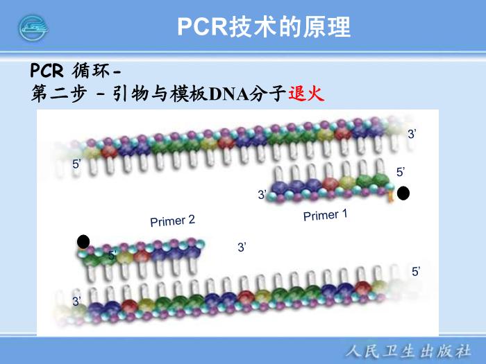 【醫學PPT課件】核酸擴增儀  臨床檢驗儀器學第9頁