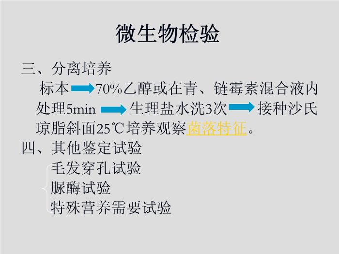 【醫學PPT課件】第21章 引起皮膚和軟組織感染的真菌