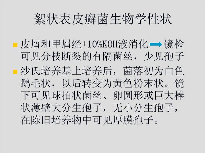 【醫學PPT課件】第21章 引起皮膚和軟組織感染的真菌