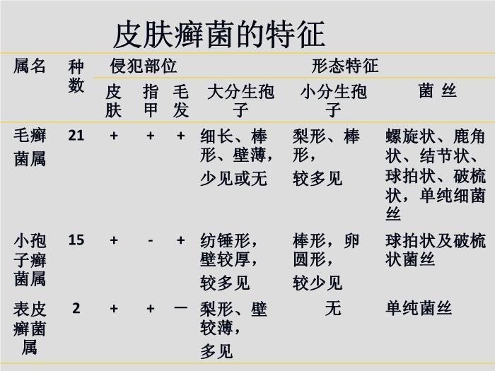 【醫學PPT課件】第21章 引起皮膚和軟組織感染的真菌