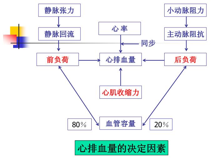 【醫學PPT課件】容量治療是節約用血的第一道防線-中山大學附屬佛山醫院第6頁
