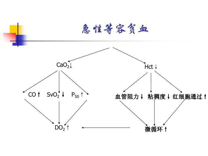 【醫學PPT課件】容量治療是節約用血的第一道防線-中山大學附屬佛山醫院第7頁
