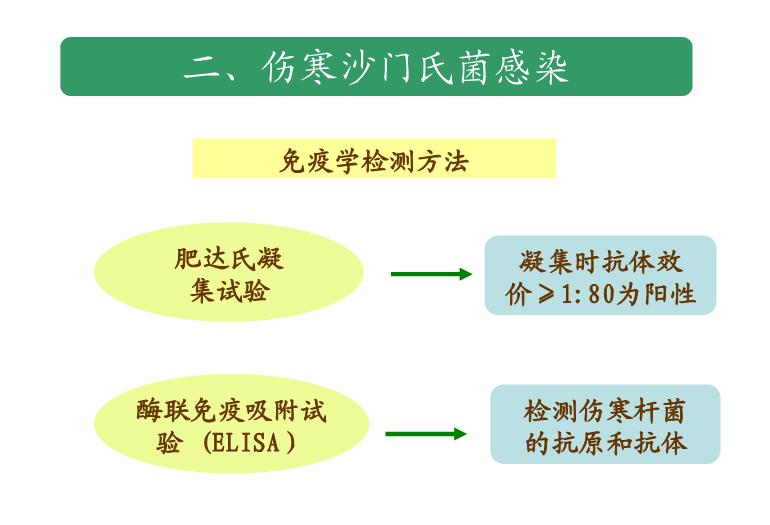 【醫學PPT課件】第22章_感染性疾病與感染免疫檢測第10頁