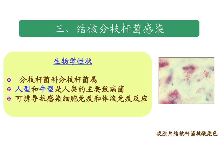 【醫學PPT課件】第22章_感染性疾病與感染免疫檢測第11頁