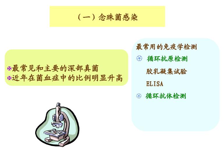 【醫學PPT課件】第22章_感染性疾病與感染免疫檢測第15頁