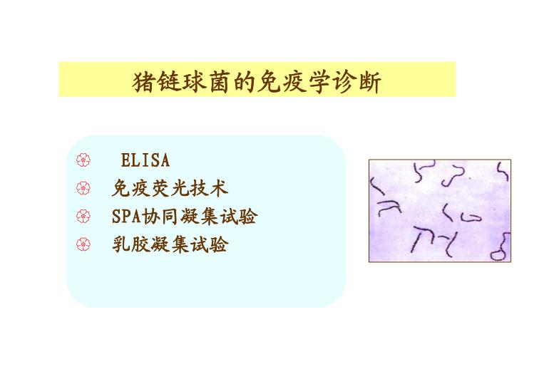 【醫學PPT課件】第22章_感染性疾病與感染免疫檢測第9頁