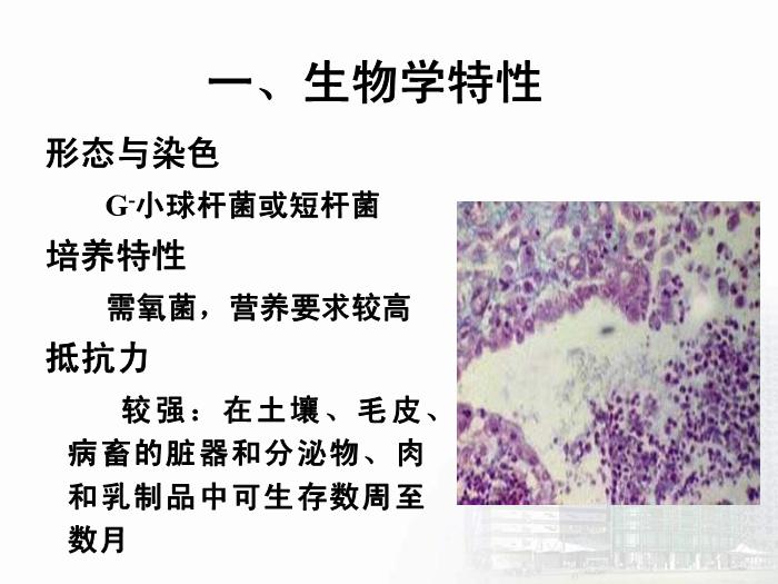 【醫學PPT課件】動物源性細菌  醫學微生物學教學課件第6頁