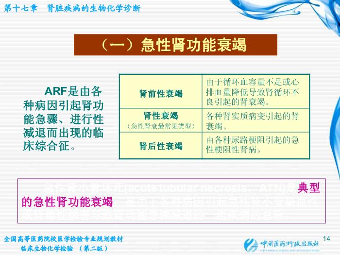 【醫學PPT課件】第17章 腎臟疾病的生物化學診斷