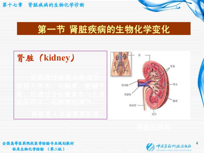 【醫學PPT課件】第17章 腎臟疾病的生物化學診斷