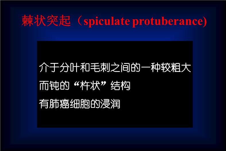 【醫學PPT課件】肺癌的CT征象及其病理基礎_PPT課件第12頁