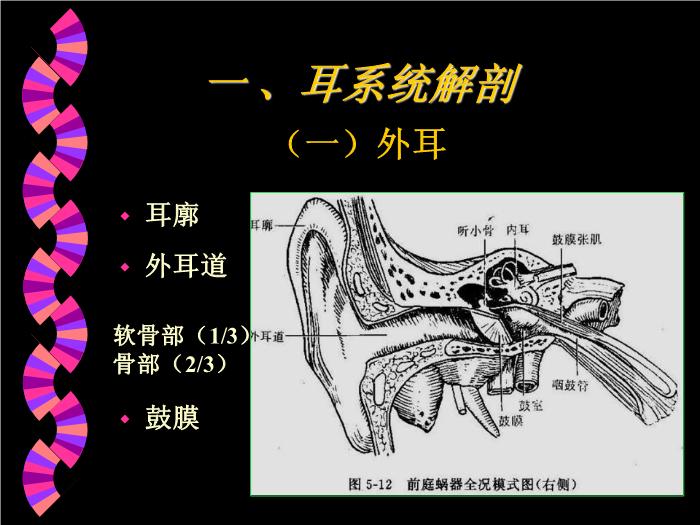 【醫學PPT課件】耳部CT解剖及疾病診斷_王麗君PPT課件第2頁