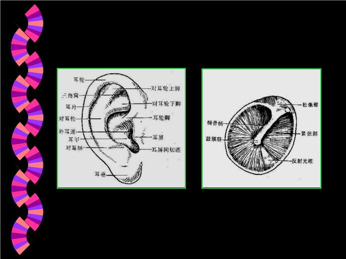 【醫學PPT課件】耳部CT解剖及疾病診斷_王麗君PPT課件第3頁