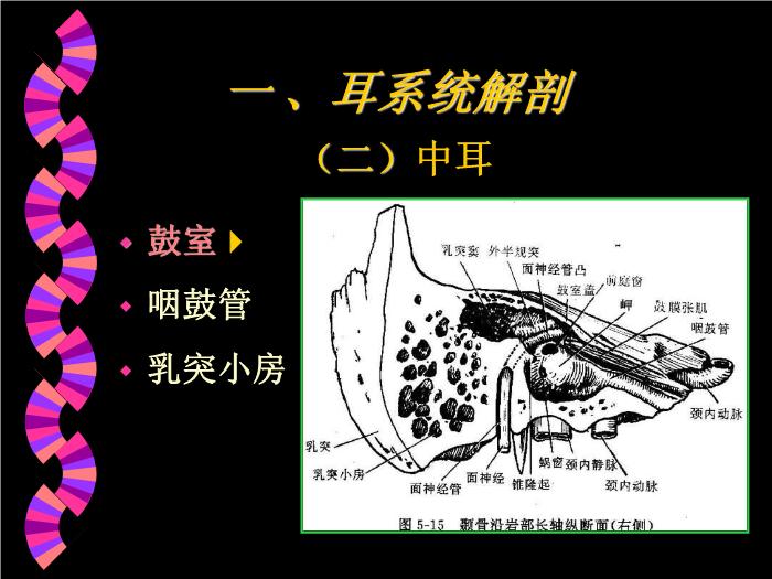 【醫學PPT課件】耳部CT解剖及疾病診斷_王麗君PPT課件第4頁