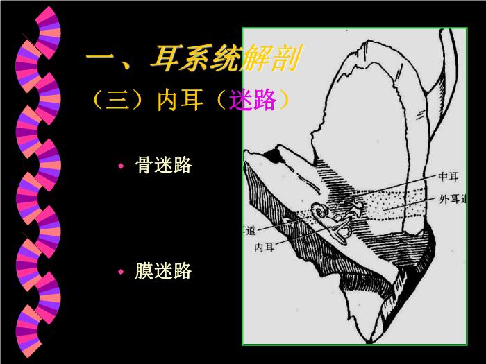 【醫學PPT課件】耳部CT解剖及疾病診斷_王麗君PPT課件第7頁