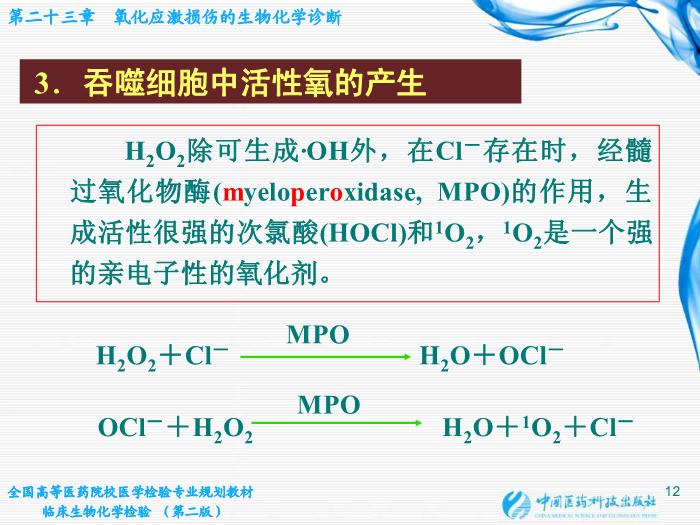 【醫學PPT課件】第23章 氧化應激損傷的生物化學診斷第12頁