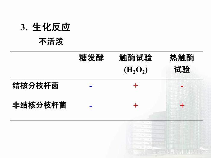 【醫學PPT課件】分支桿菌屬  醫學微生物學教學課件第11頁