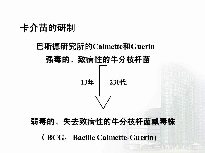 【醫學PPT課件】分支桿菌屬  醫學微生物學教學課件第14頁