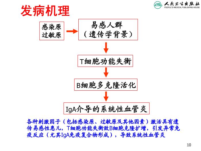 【醫學PPT課件】過敏性紫癜 人衛版教學PPT課件第10頁