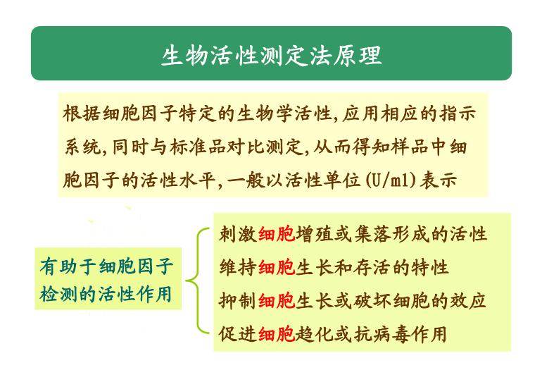 【醫學PPT課件】第16章_細胞因子與細胞粘附因子的測定