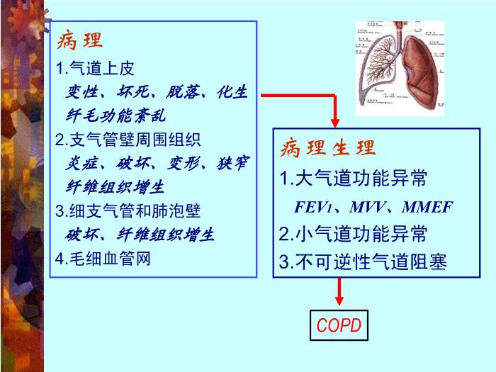 【醫學PPT課件】慢性阻塞性肺疾病-中山大學附屬第一醫院呼吸內科-周燕斌第7頁