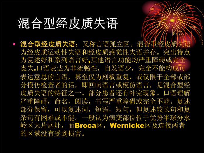 【醫學PPT課件】腦卒中語言障礙康復 康復研究中心綜合康復科第13頁