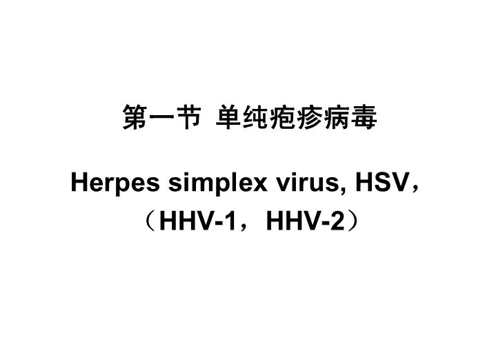 【醫學PPT課件】第31章 皰疹病毒 醫學微生物學教學課件第6頁
