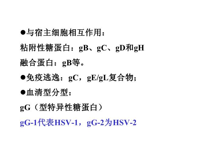【醫學PPT課件】第31章 皰疹病毒 醫學微生物學教學課件第8頁