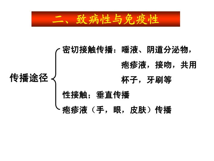 【醫學PPT課件】第31章 皰疹病毒 醫學微生物學教學課件第9頁