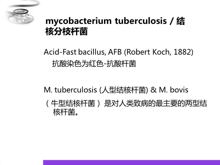 【醫學PPT課件】結核病 八年制兒科學PPT課件第11頁