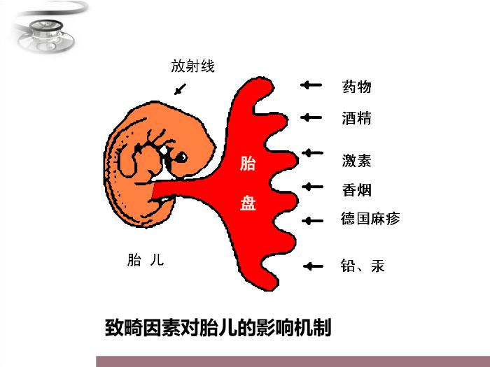 【醫學PPT課件】兒童保健原則 八年制兒科學PPT課件第13頁